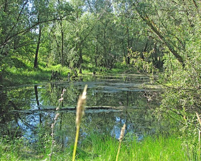 Балаклія з panoramio.com - Балаклія