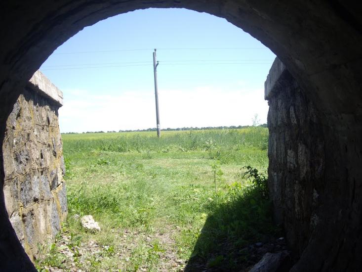 Арбузинка з panoramio.com - Арбузинка