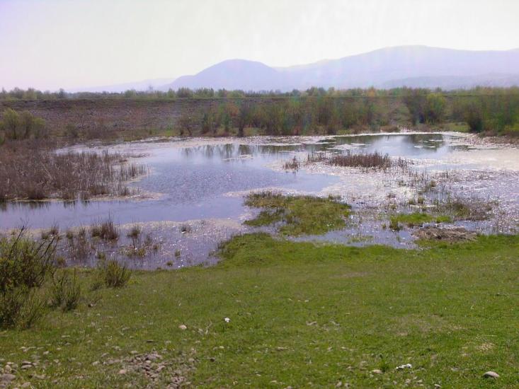 Буштино з panoramio.com - Буштино