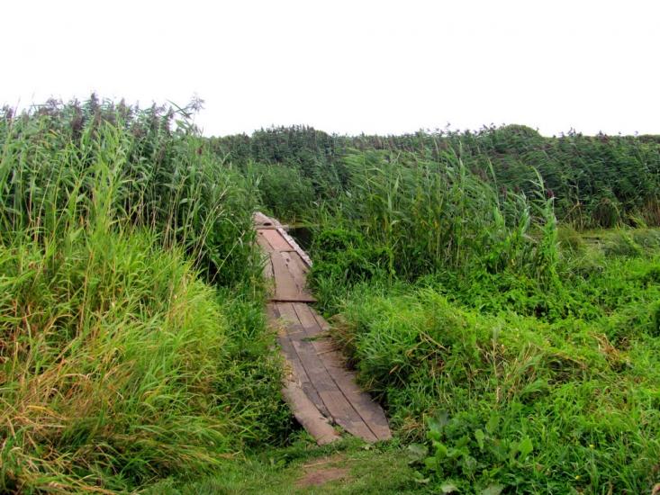 Кузнецовськ з panoramio.com - Вараш
