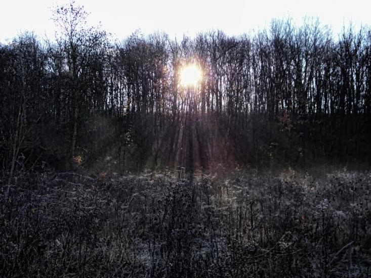 Мачухи з panoramio.com - Мачехи