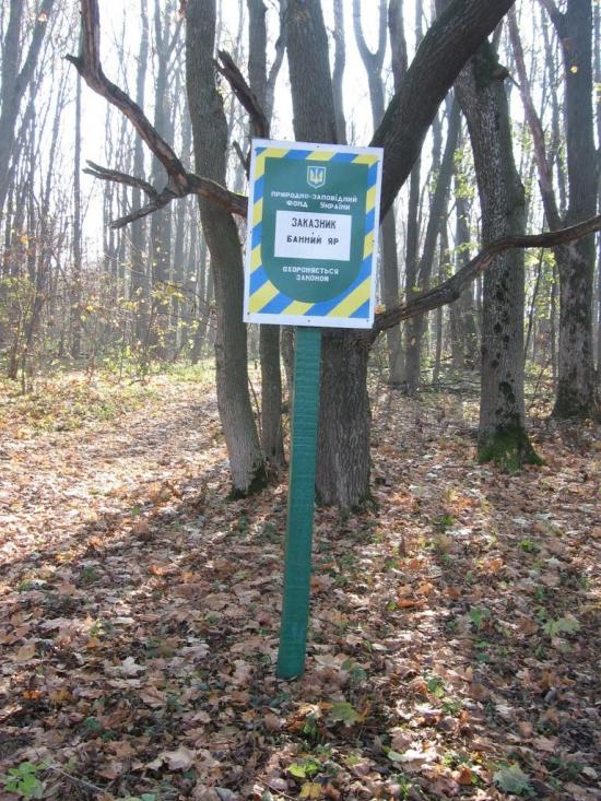 Пролетарське з panoramio.com - Пролетарське