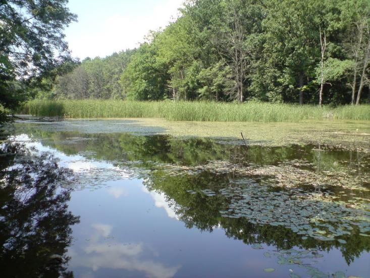 Кардашівка з panoramio.com - Кардашовка