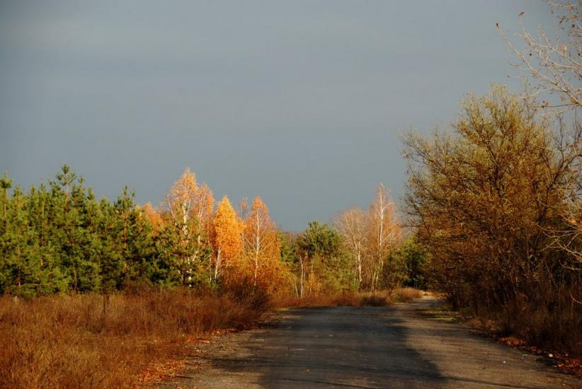 Маньківка з panoramio.com - Маньковка