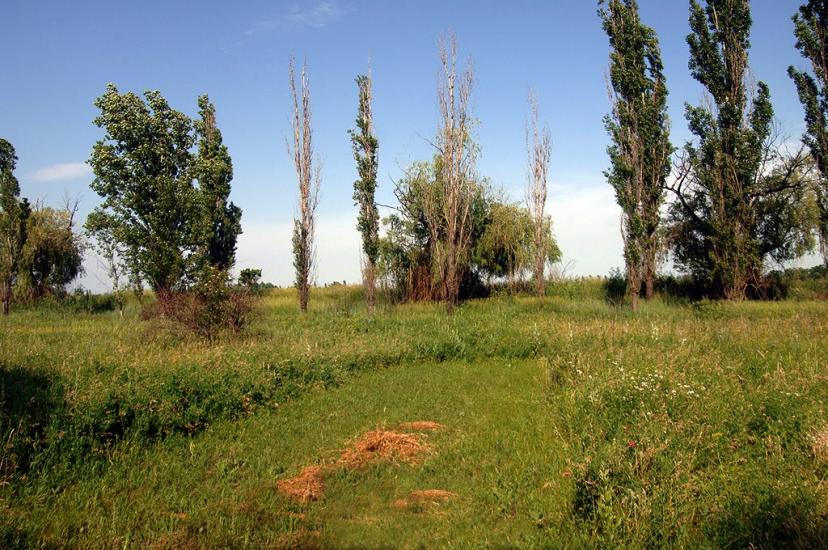 Мала Білозерка з panoramio.com - Малая Белозерка