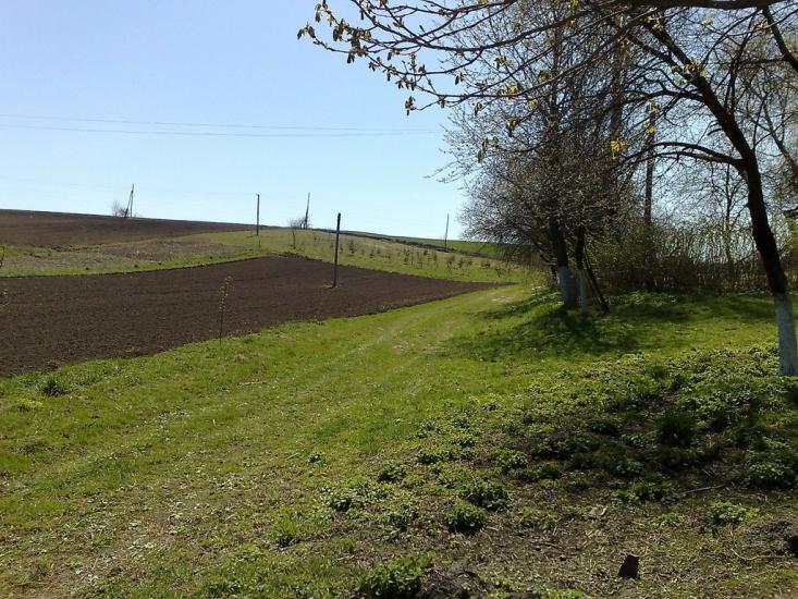 Лаврів з panoramio.com - Лавров