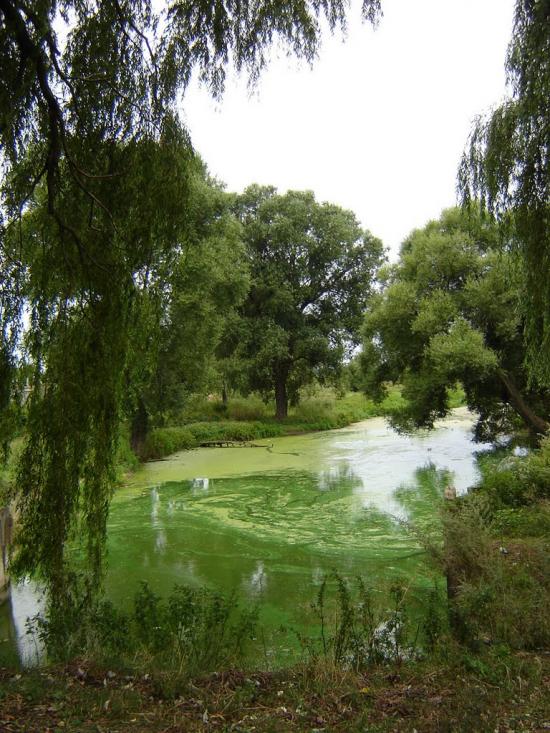 Вороніж з panoramio.com - Воронеж