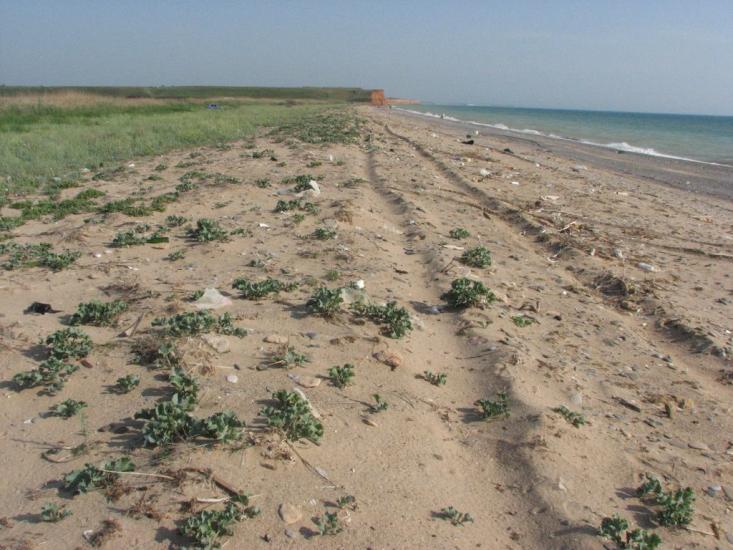 Фрунзе з panoramio.com - Фрунзе