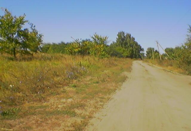 Велика Кошелівка з panoramio.com - Великая Кошелевка