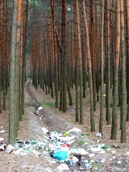 Стригани з panoramio.com - Стриганы