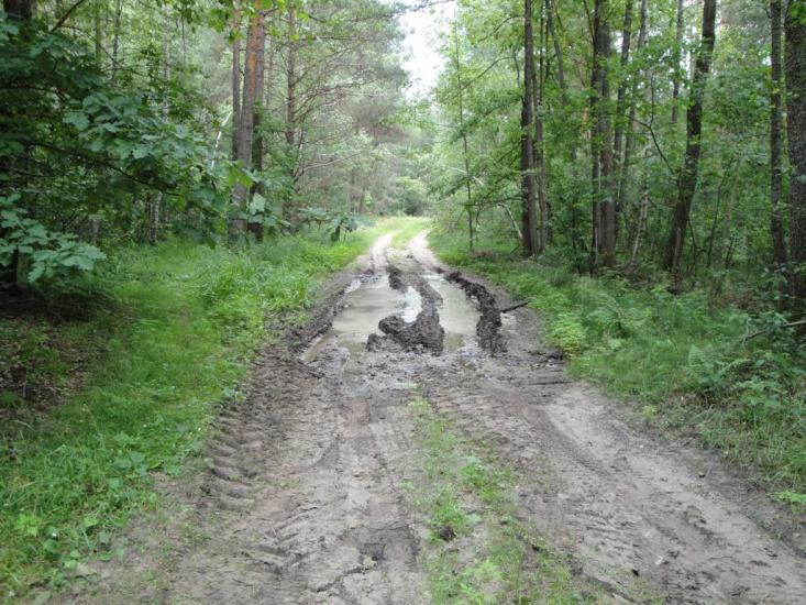 Скиток з panoramio.com - Скиток