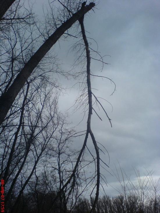 Гельмязів з panoramio.com - Гельмязів