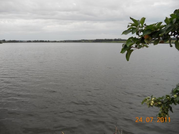 Новоселівка з panoramio.com - Новоселівка