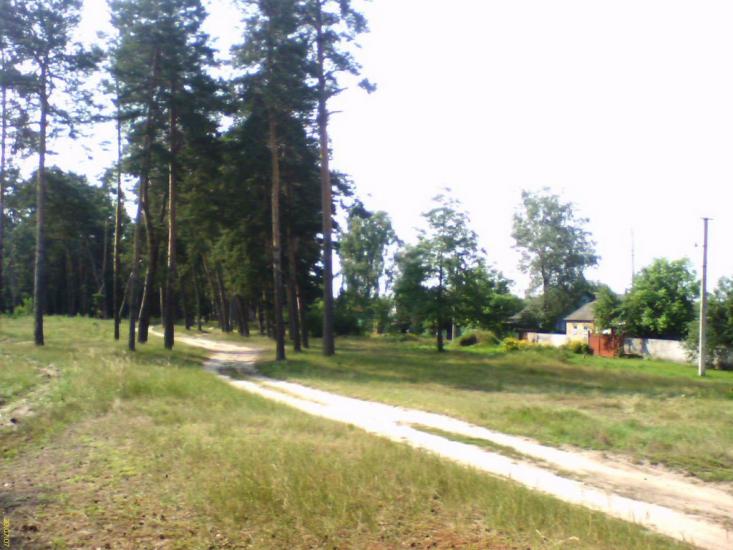 Сосонка з panoramio.com - Сосонка