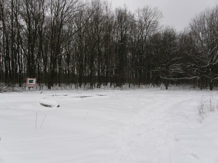Оржиця з panoramio.com - Оржица
