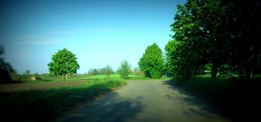 Аджамка з panoramio.com - Аджамка