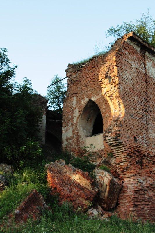 Острів з panoramio.com - Острів