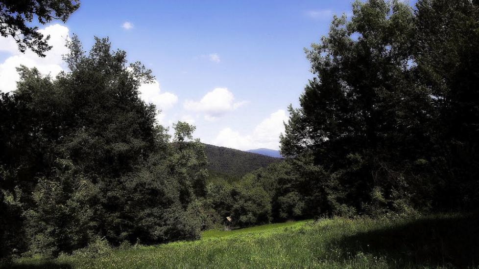 Забрідь з panoramio.com - Zabrid
