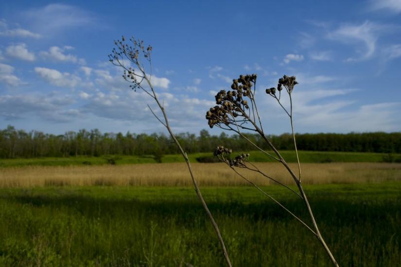 Червоний Садок з panoramio.com - Chervonyy Sadok