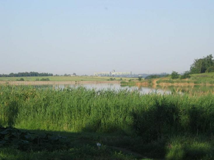 Арбузинка з panoramio.com - Арбузинка