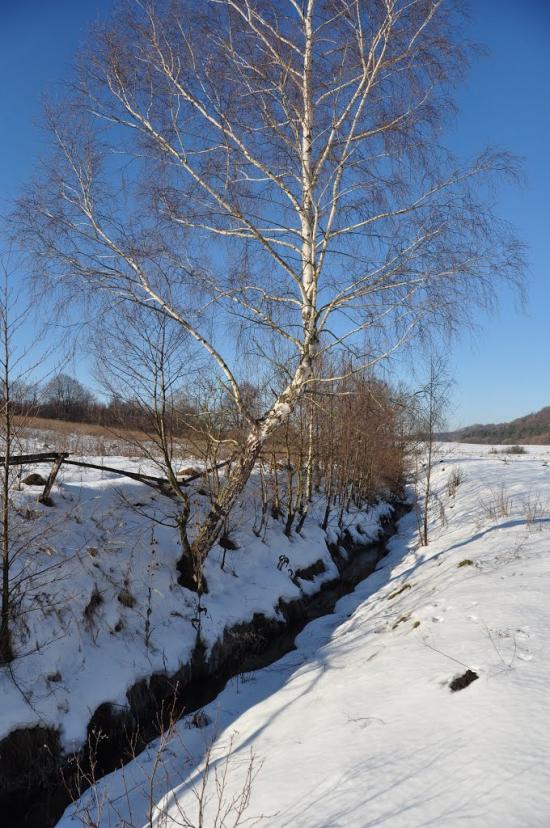 Любешка з panoramio.com - Любешка