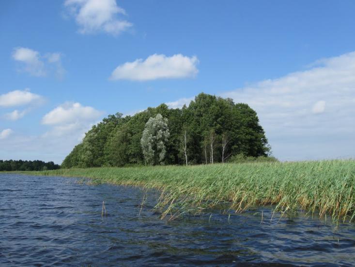 Мельники з panoramio.com - Мельники