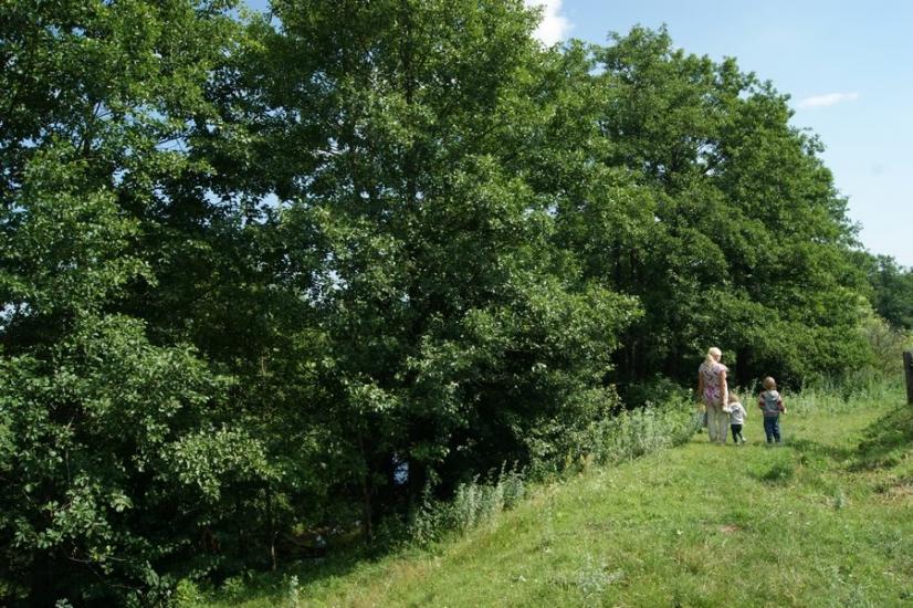 Велика Любаша з panoramio.com - Велика Любаша