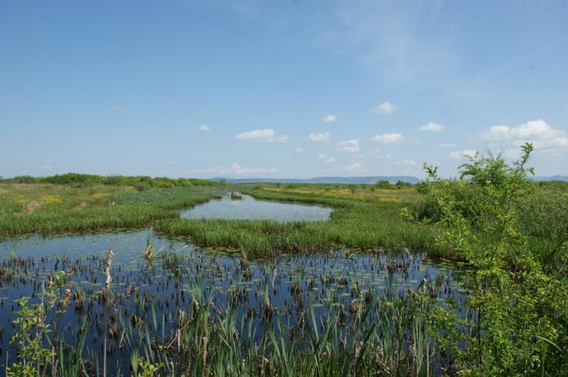 Оклі з panoramio.com - Оклі