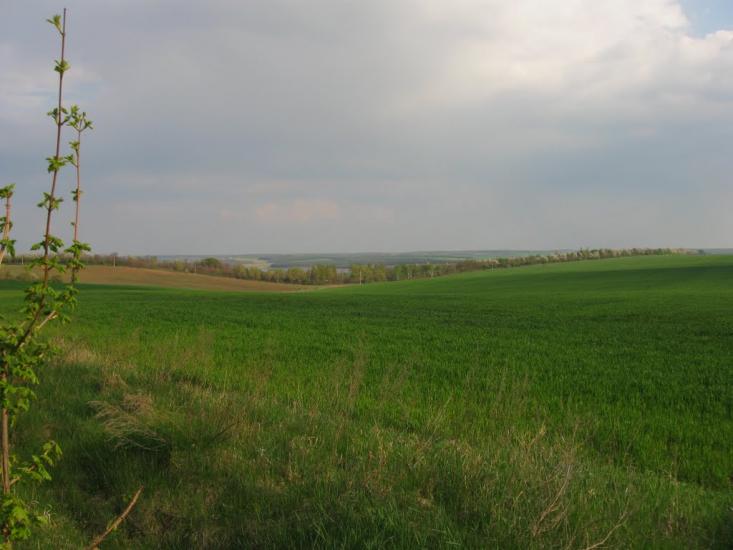 Бубнівка з panoramio.com - Бубновка