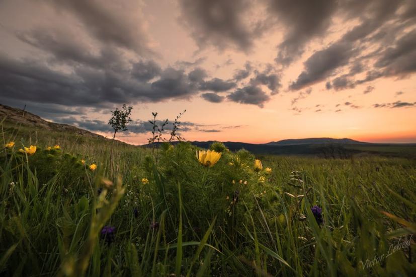 Семенівка з panoramio.com - Семенівка