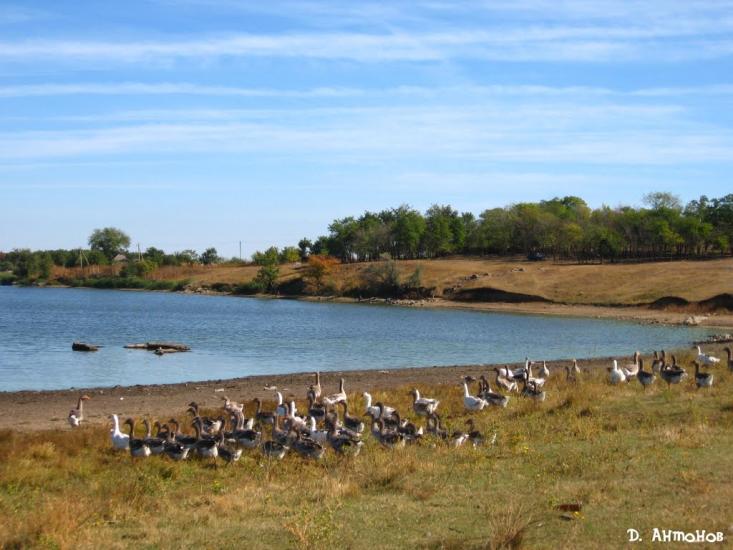 Христофорівка з panoramio.com - Христофоровка