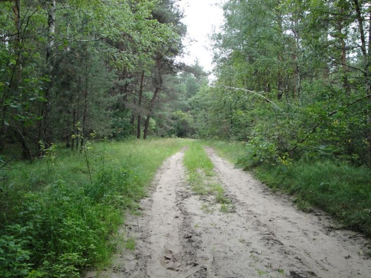 Скиток з panoramio.com - Скиток