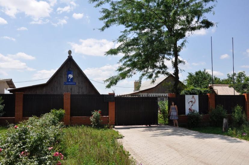 Ставки з panoramio.com - Ставки