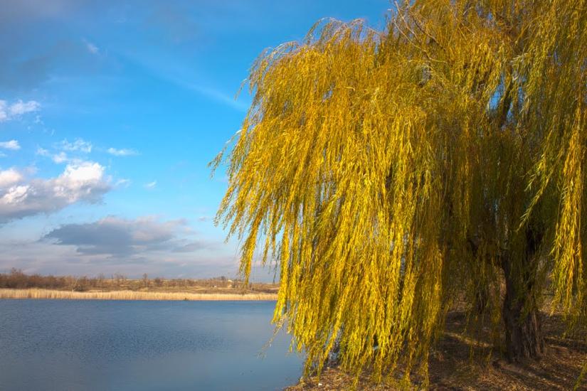 Кримське з panoramio.com - Krymske