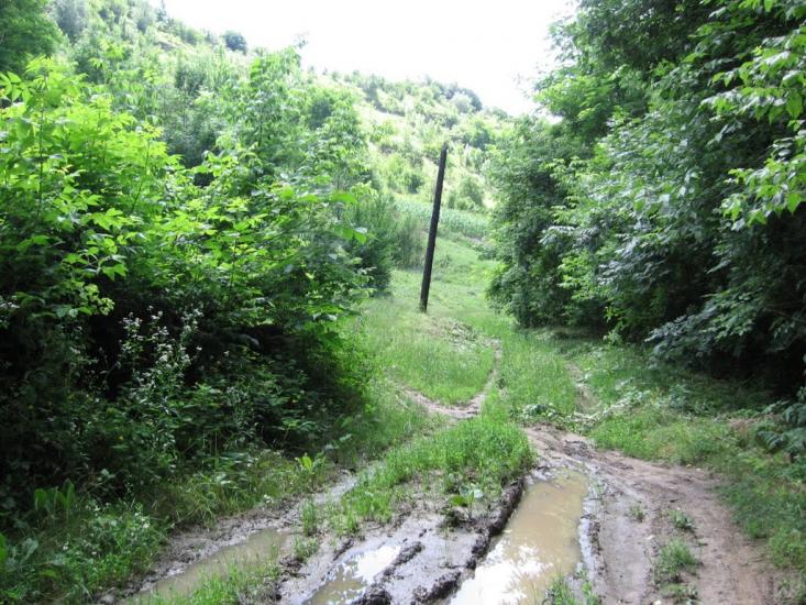 Загнітків з panoramio.com - Загнітків