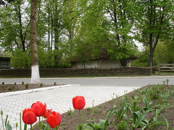 Моринці з panoramio.com - Moryntsi