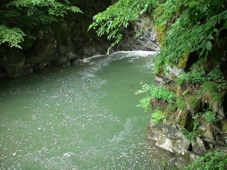 Чорноголова з panoramio.com - Черноголова