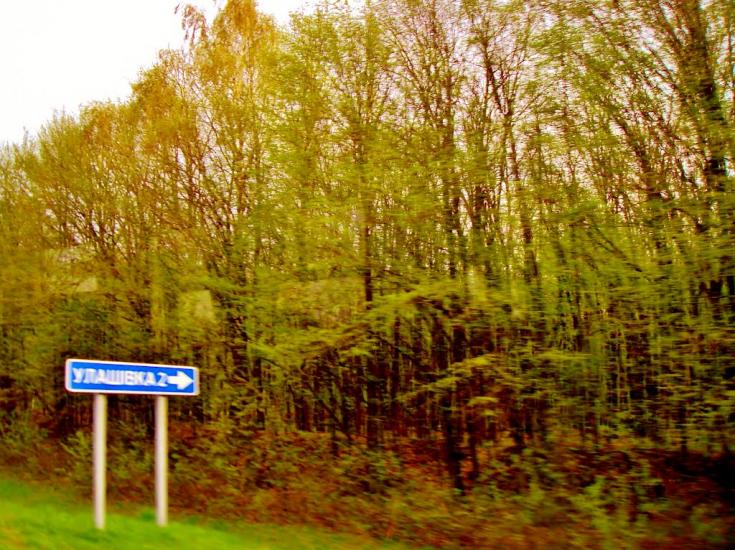 Салиха з panoramio.com - Салиха