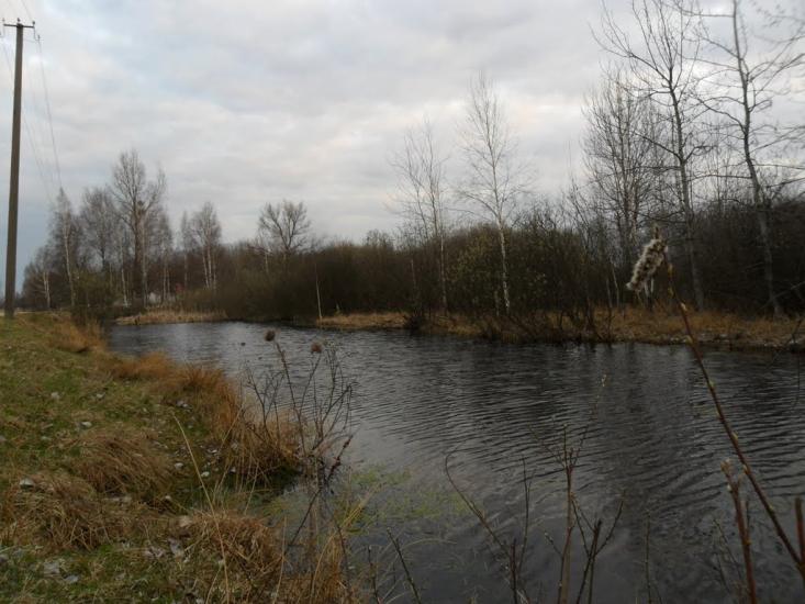Зелениця з panoramio.com - Зелениця