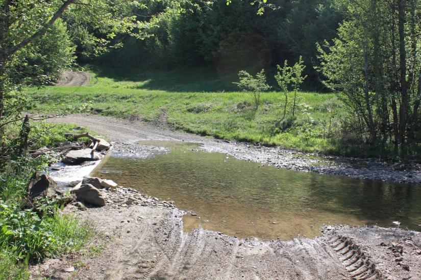 Княгиня з panoramio.com - Княгиня