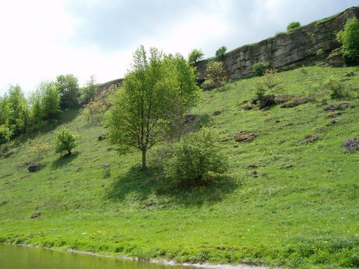 Панівці з panoramio.com - Панівці