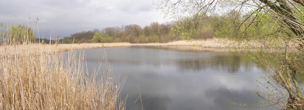 Червоний Кут з panoramio.com - Червоний Кут