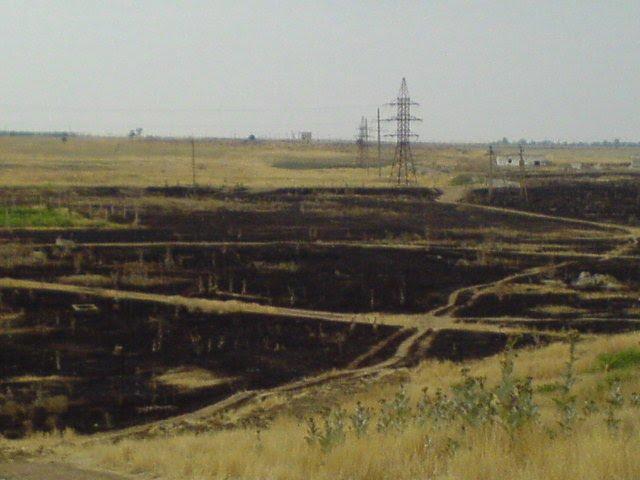 Краснодарка з panoramio.com - Краснодарка