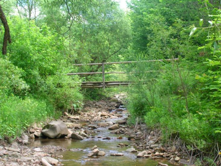 Буківцьово з panoramio.com - Буковцево