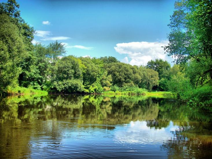 Олевськ з panoramio.com - Олевск