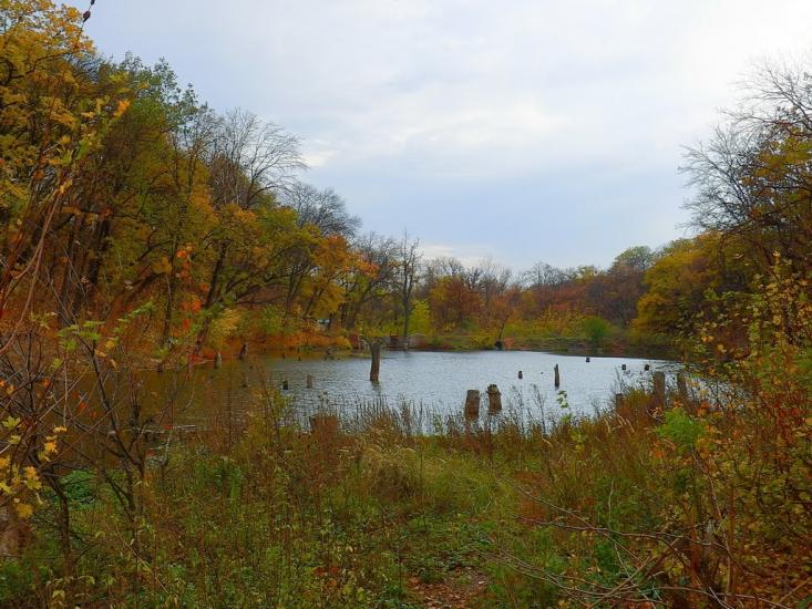 Олександрівське з panoramio.com - Олександрівське