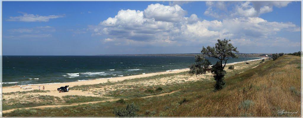 Львове з panoramio.com - Львове