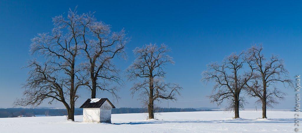Дев'ятир з panoramio.com - Девятир