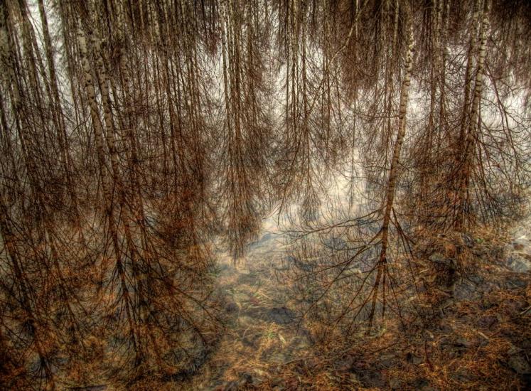 Березне з panoramio.com - Berezne