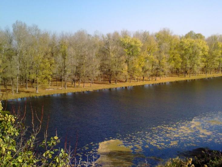 Остап'є з panoramio.com - Остап'є